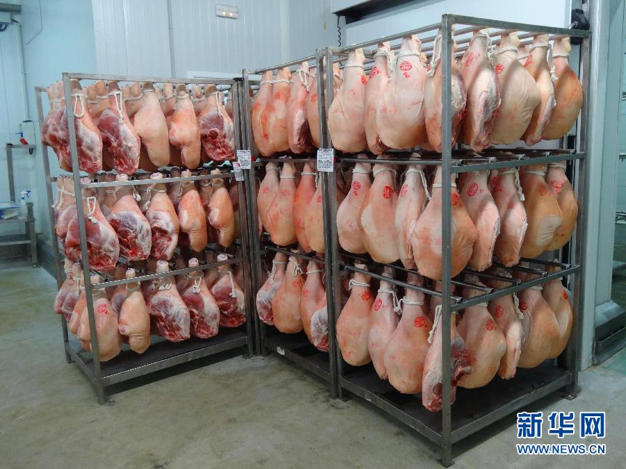El 9 de septiembre, en Girona, las piernas de cerdo  son enviadas a la fábrica para la elaboración de jamón.