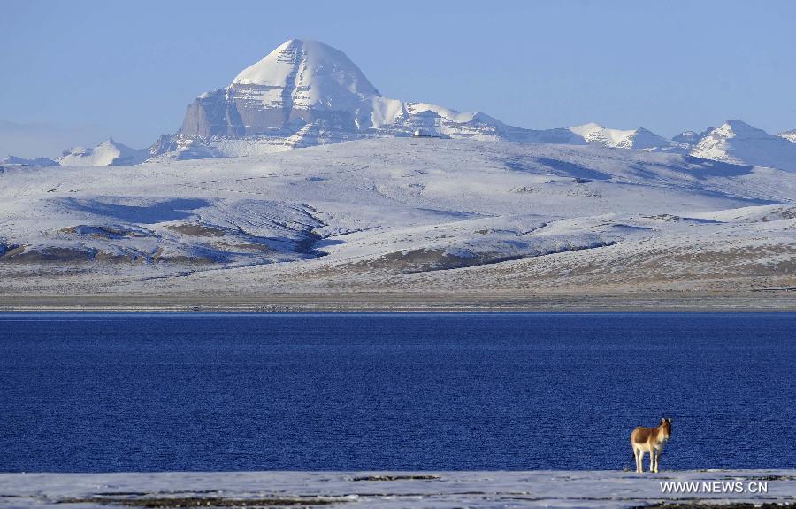 Hermoso paisaje del monte Kailash