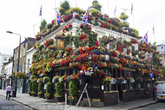 4.Gerry O'Brien, propietario de Las Armas de Churchill, ubicado en el camino de la Iglesia de Kensington, al oeste de Londres, riega las flores en su bar, durante un día de verano. Gerry, quien ha sido el due?o de este club desde hace 30 a?os, todos los a?os pasa dos semanas plantando las flores que riega dos veces al día. [Foto / IC]