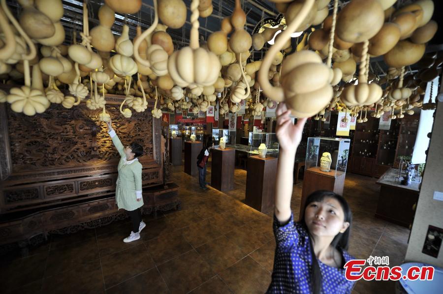 Inauguran el Museo de Calabazas Chinas en Tianjin