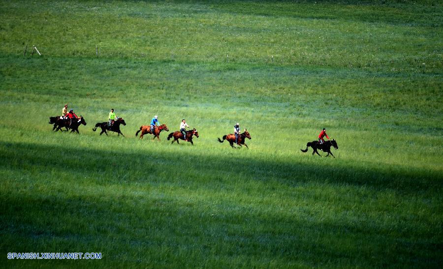 caballos en praderas en Condado Baoligen de Xilinhot 3