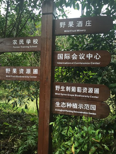 Periodistas extranjeros visitan el centro de frutas silvestres Gentleman Valley de Chongyi