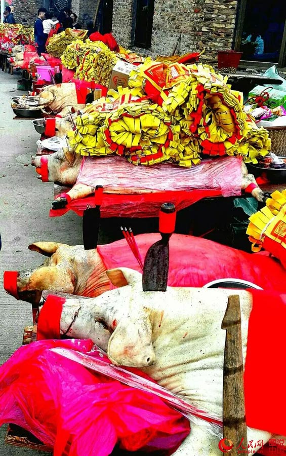 Celebran ceremonia ancestral de adoración en Xiamen