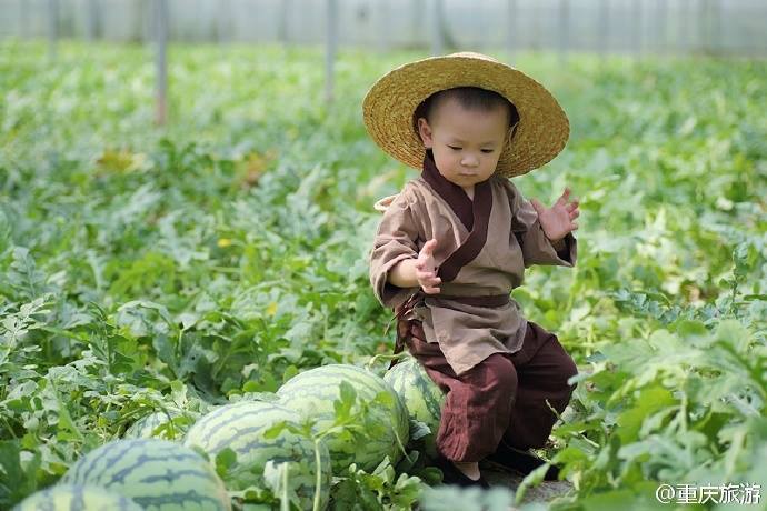 “Ni?o de la Sandía” se convierte en fenómeno viral en la red