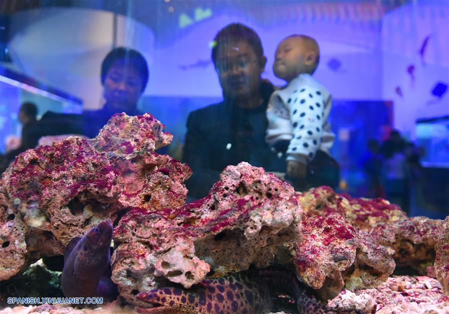  Residentes observan una pecera en el interior del Museo de Ciencia y Tecnología de Mongolia Interior en Hohhot, capital de la región autónoma de Mongolia Interior, en el norte de China, el 31 de enero de 2017. El museo de ciencias comenzó a recibir visitantes el martes, el quinto día de las vacaciones del A?o Nuevo Lunar chino. (Xinhua/Deng Hua)