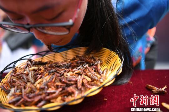 Se celebra competición de comer insectos en Yunnan