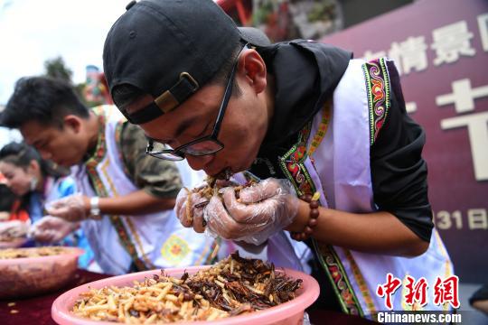 Se celebra competición de comer insectos en Yunnan