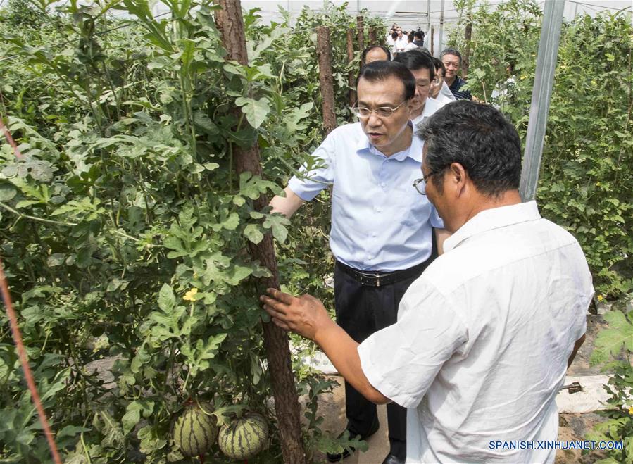 Primer ministro pide más esfuerzos para promover desarrollo económico en oeste de China