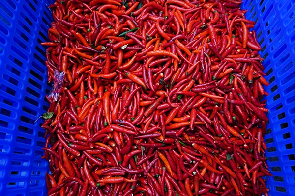 La industria de los pimientos picantes saca de la pobreza a un condado en Hunan