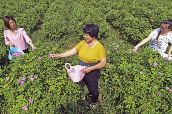 Las reformas están encaminadas, afirma premier Li a miembros de las comisiones de economía y agricultura de la CCPPCh