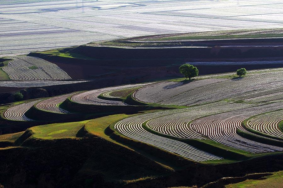 Naturales paisajes “artísticos” de Wuzhai que ensue?an el verano