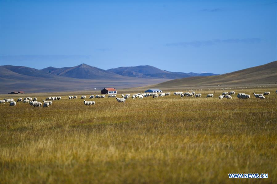 Atractivo paisaje de Ulgai en Xilingol, Mongolia Interior