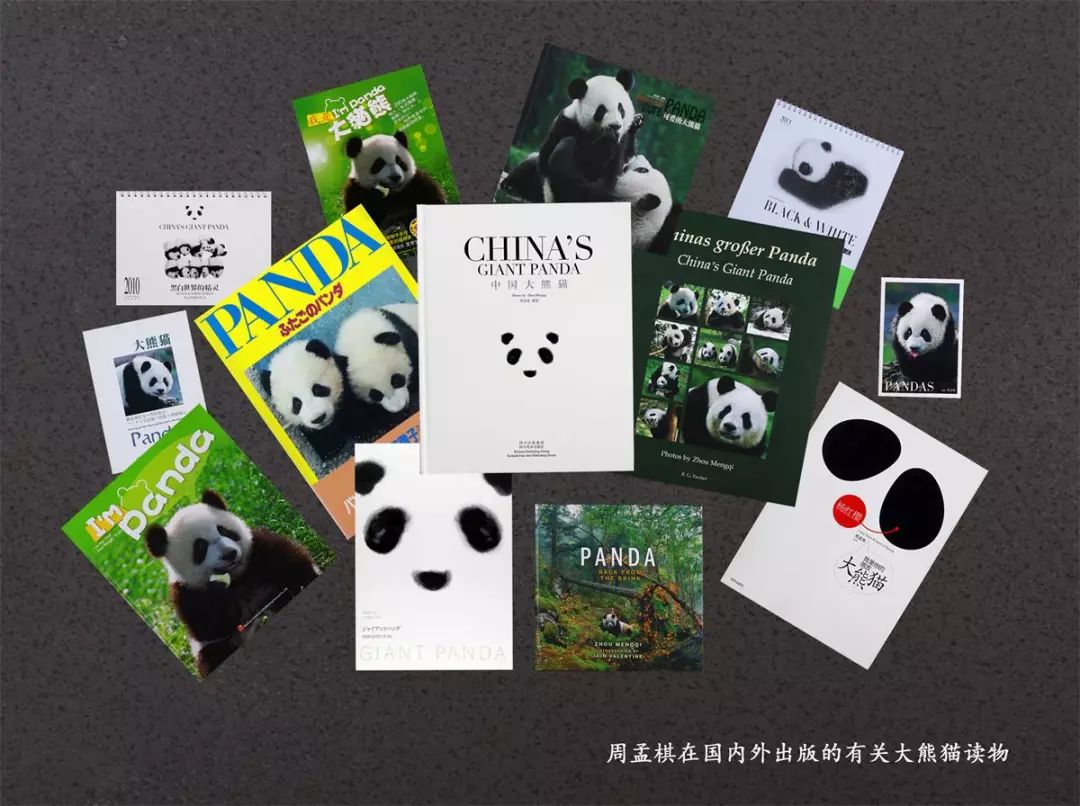Fotógrafo de 64 a?os dedica 26 a?os a documentar la vida de los pandas gigantes