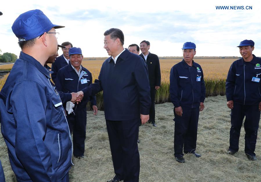 Xi subraya revitalización de noreste de China