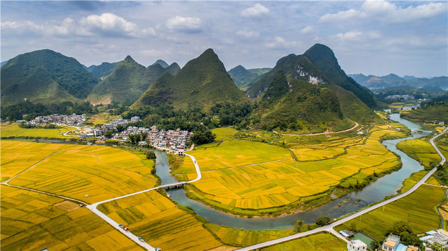Campos de arroz de oto?o en el suroeste de China