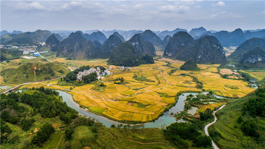 Campos de arroz de oto?o en el suroeste de China