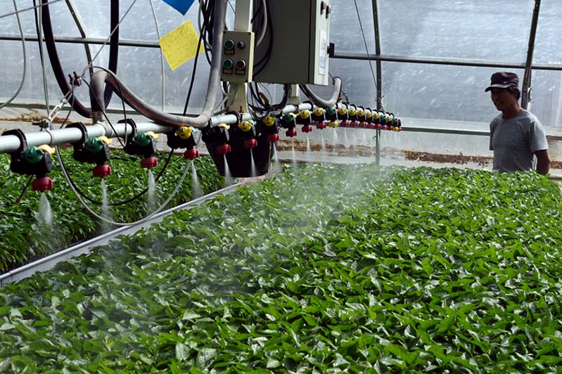 El desarrollo de las industrias locales ayudan a los aldeanos a salir de la pobreza