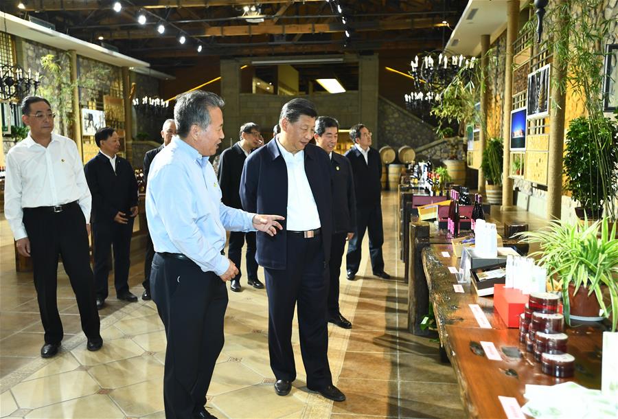El presidente chino, Xi Jinping, también secretario general del Comité Central del Partido Comunista de China y presidente de la Comisión Militar Central, visita un vi?edo cerca de las monta?as Helan para informarse sobre los esfuerzos para fortalecer la conservación ecológica de las monta?as, en la región autónoma de la etnia hui de Ningxia, en el noroeste de China, el 9 de junio de 2020. Xi inspeccionó el martes la ciudad de Yinchuan durante su gira por Ningxia. (Xinhua/Xie Huanchi)