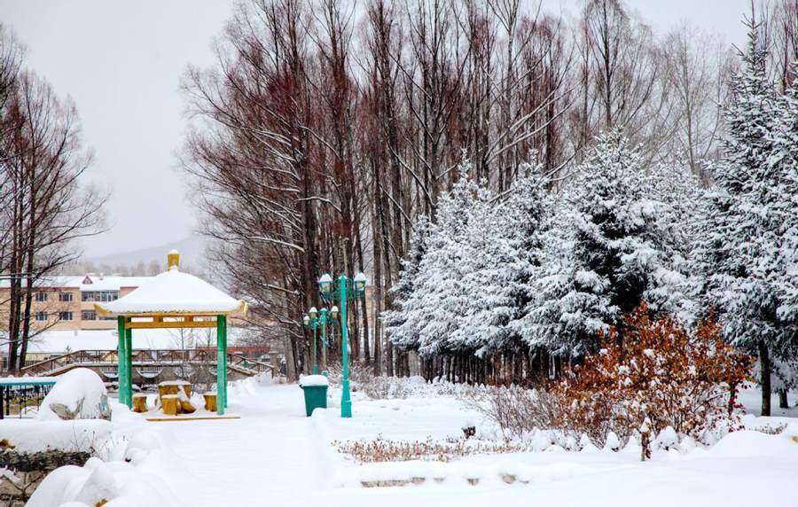 Después de una fuerte nevada, la escarcha de los árboles convirtió el distrito Huzhong en la región de Daxinganling, provincia de Heilongjiang, en un paisaje de ensue?o. [Foto de Feng Hongwei / para chinadaily.com.cn]