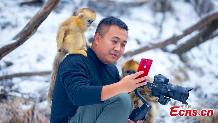 (Foto: Li Kaiyu)