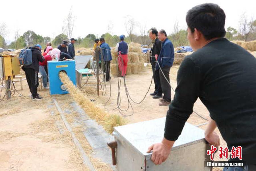 Nueva tecnología china para mejorar el control de la desertificación