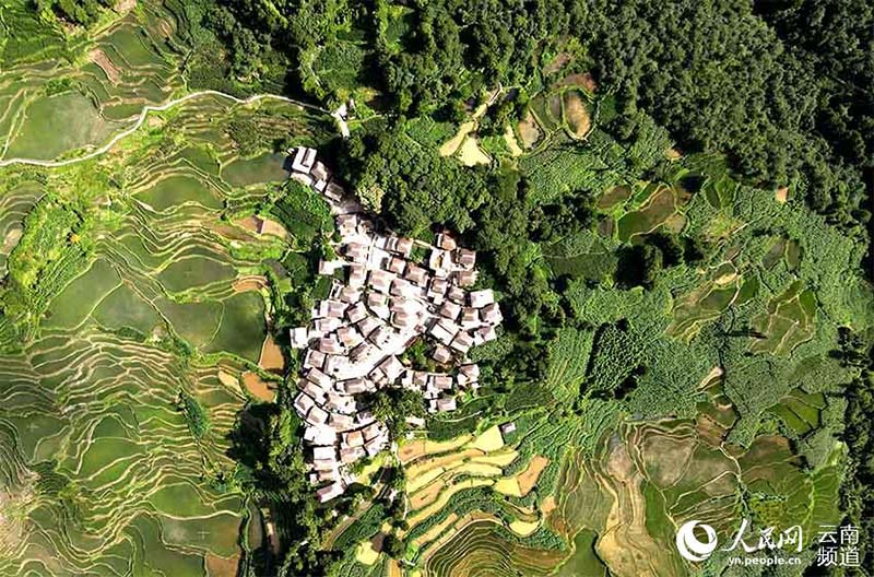 La foto muestra los campos en terrazas Hani en la aldea de Azheke, condado Yuanyang de la prefectura autónoma Yi y Hani de Honghe, provincia de Yunnan en el suroeste de China. (Foto / Luo Jianguo)