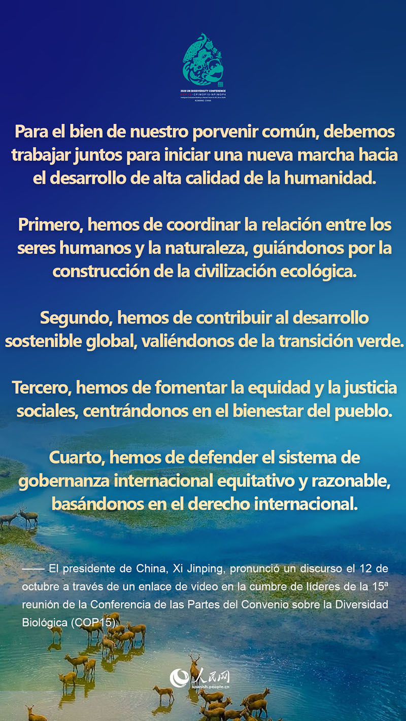 Lo más destacado del discurso del presidente Xi Jinping en la cumbre de líderes de la COP15