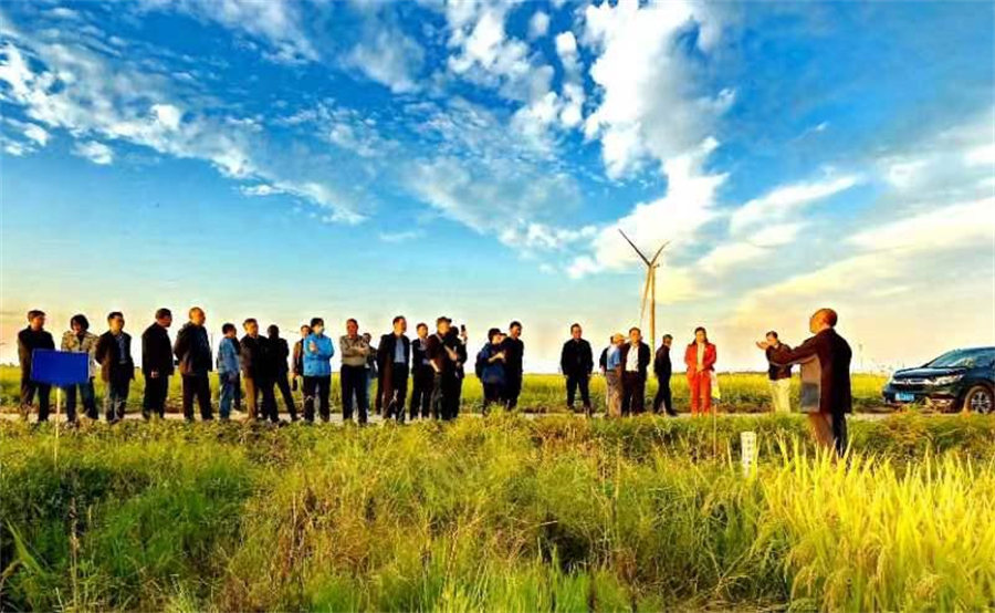 Presentan en Hubei nueva vacuna vegetal para el arroz