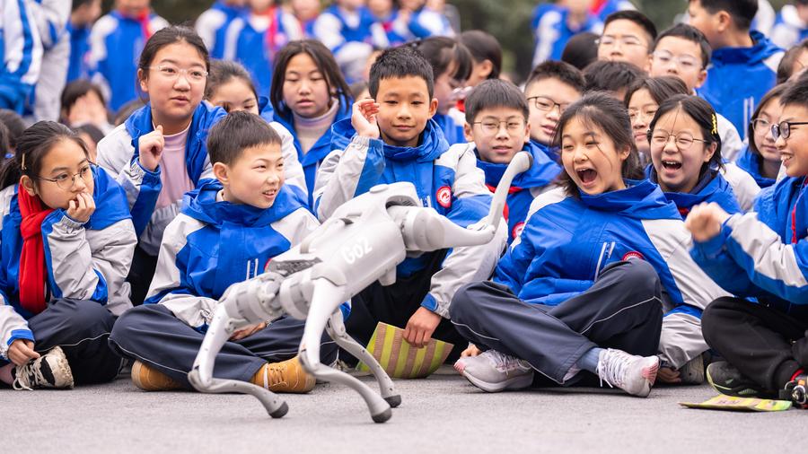Un grupo de estudiantes observa la actuación de un robot inteligente con forma de perro en una escuela secundaria en el distrito de Pengshan, en Meishan, ciudad de la provincia suroccidental china de Sichuan, el 17 de febrero de 2025. (Xinhua/Weng Guangjian)