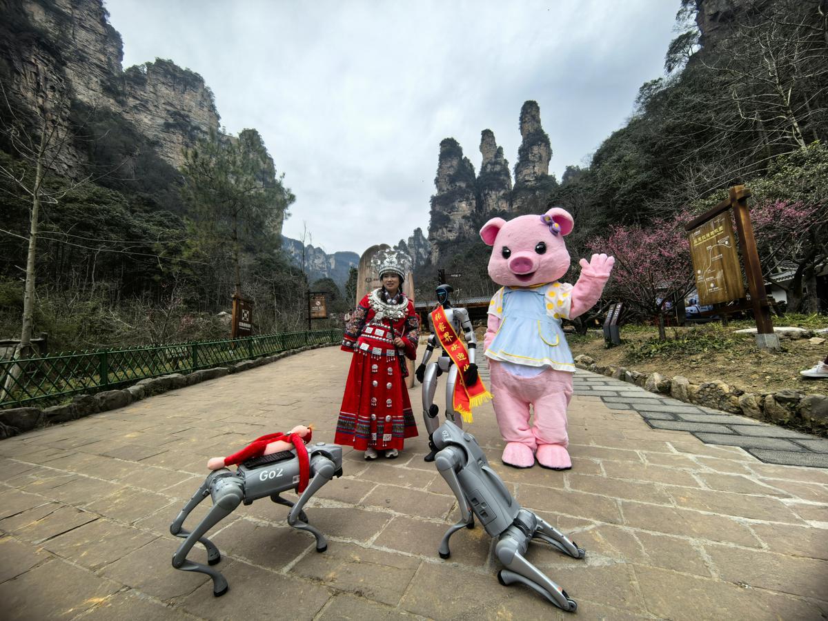 Robots y perros robóticos deleitan a los turistas en Zhangjiajie