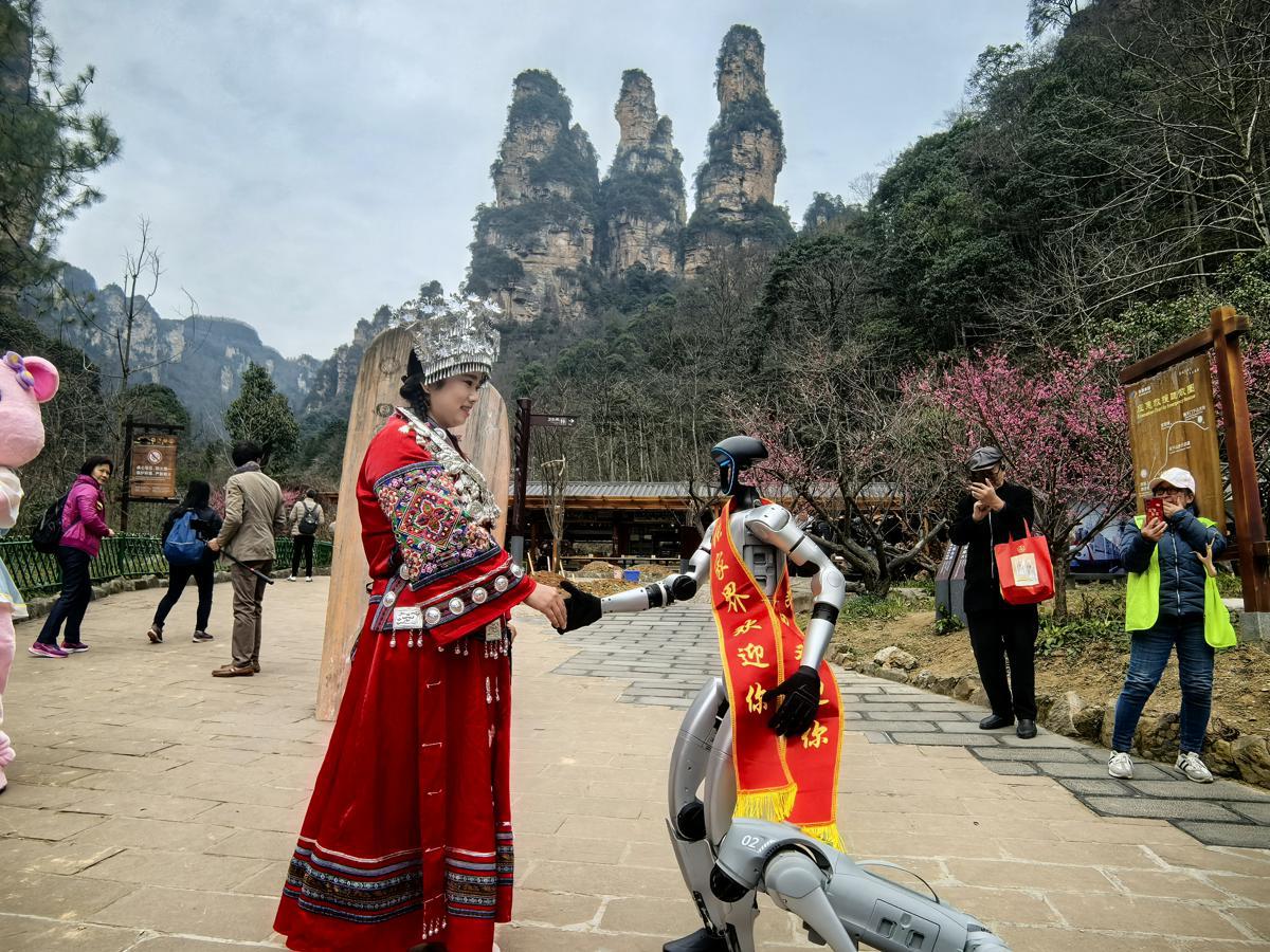 Robots y perros robóticos deleitan a los turistas en Zhangjiajie
