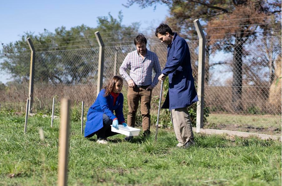 Imagen del 13 de abril de 2023 de María Eugenia Beily (i), investigadora del Laboratorio de transformación de residuos del Instituto de Microbiología y Zoología Agrícola del Instituto Nacional de Tecnología Agropecuaria de Argentina y coordinadora del proyecto con el Instituto de Biogás del Ministerio de Agricultura y Asuntos Rurales (BIOMA), afiliado a la Academia de Ciencias Agrícolas de China, tomando una muestra del ensayo de evaluación a largo plazo de digeridos anaeróbicos porcinos, junto a Nicolás Riera (c), investigador y participante del proyecto con el BIOMA y a Giuliano Meineri (d) , tesista y estudiante de ingeniería agronómica, en una pastura, en la ciudad de Castelar, Argentina. (Xinhua/Martín Zabala) 